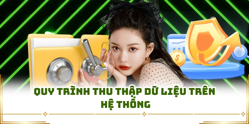 Quy trình thu thập dữ liệu trên hệ thống