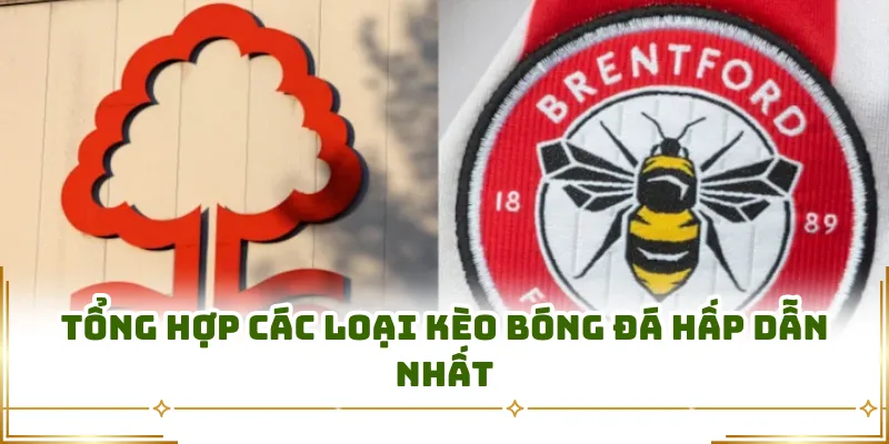 Tổng hợp các loại kèo bóng đá hấp dẫn nhất