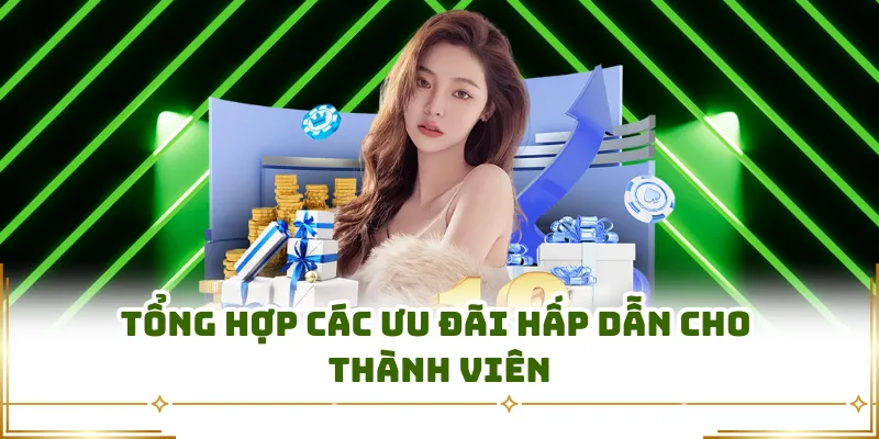 Tổng hợp các ưu đãi hấp dẫn cho thành viên